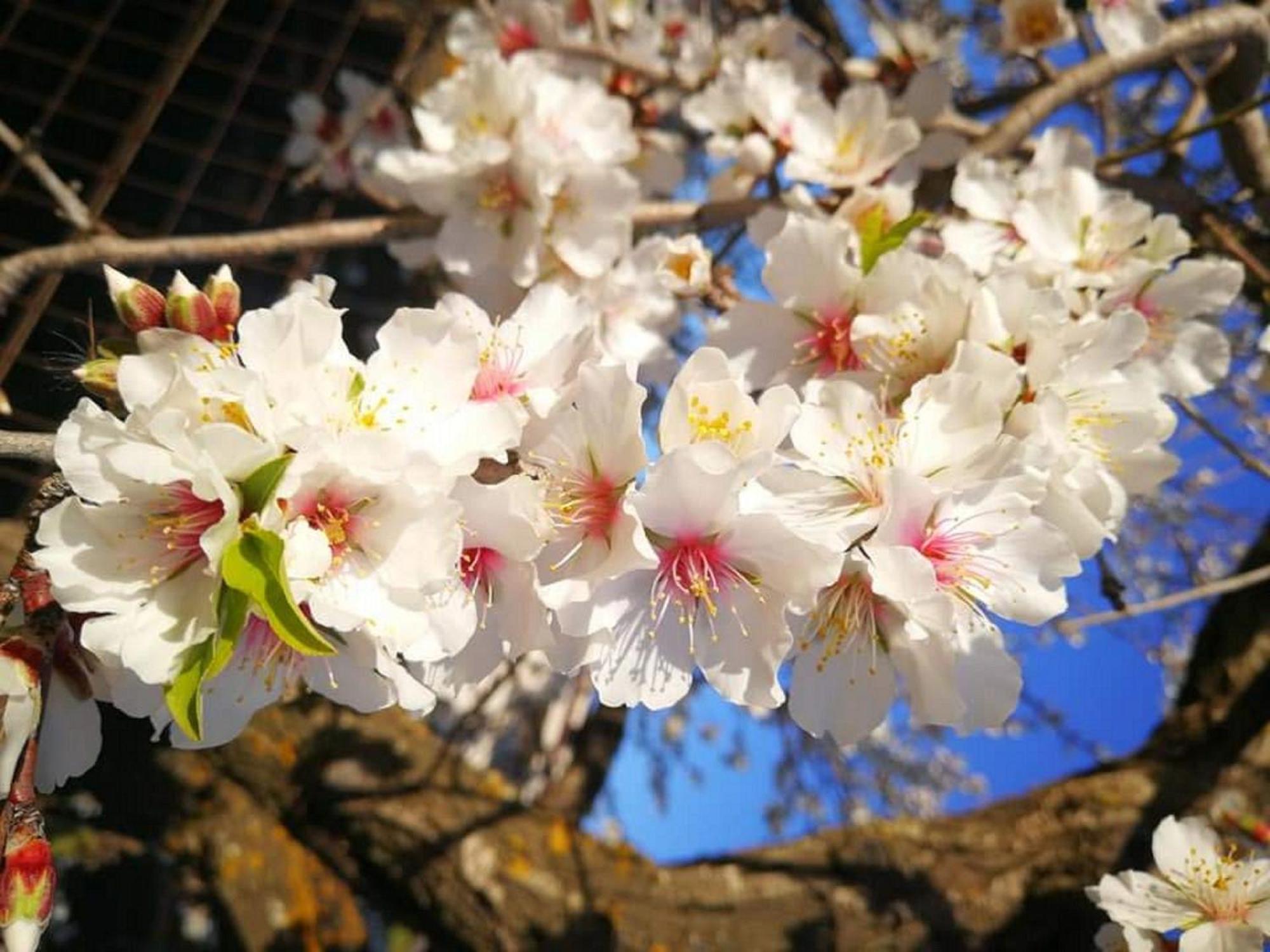 Lala Salama San Leone Dış mekan fotoğraf